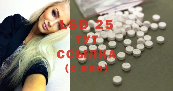 амф Богданович