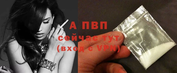 spice Богородицк