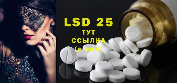 spice Богородицк
