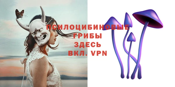 амф Богданович