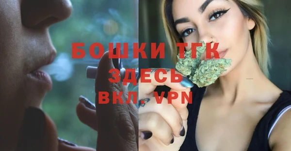амф Богданович