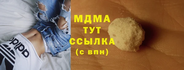 spice Богородицк