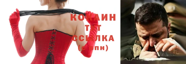 spice Богородицк
