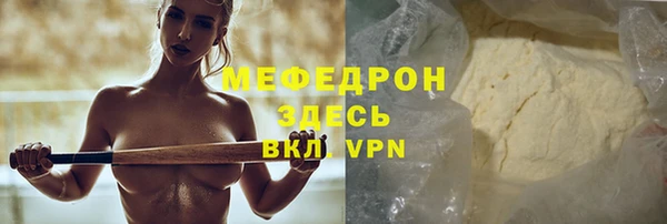 spice Богородицк