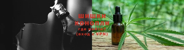 spice Богородицк