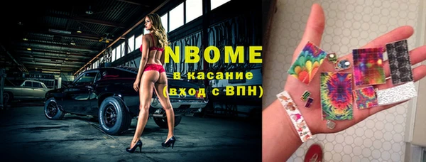 spice Богородицк