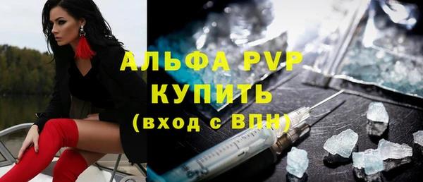 spice Богородицк