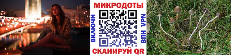 Псилоцибиновые грибы мухоморы  Купить  Катав-Ивановск 