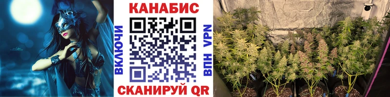 Купить где  Катав-Ивановск  Конопля марихуана 